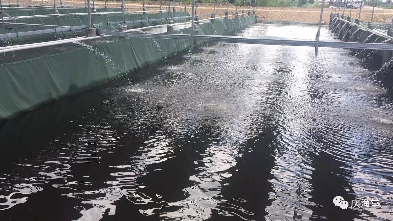 庆渔堂生态鱼塘底部增氧及微水循环工作状态