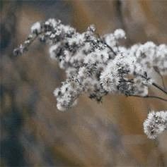 郁可唯翻唱一首《天涯》一人一扇一江湖,唱尽侠骨柔情,让人回味