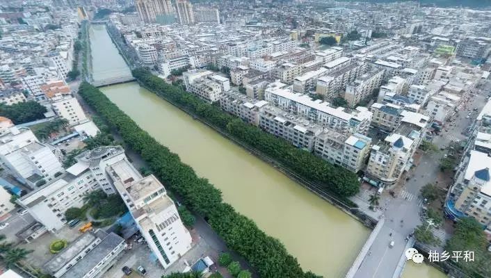 漳州市台商投资区角美镇坂美村 漳州市常山开发区观阳村 龙海市紫