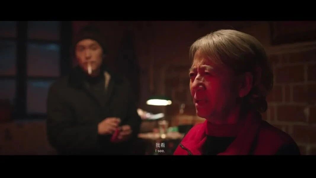 【短片赏析】《暴雪南风》获奖短片