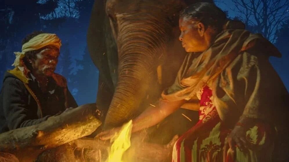 【短片欣赏】小象守护者 The Elephant Whisperers (2022)