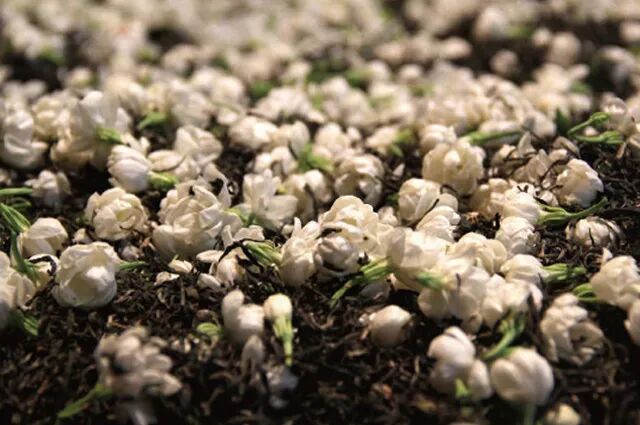 专门包装茶叶包装盒定制_定做茶叶包装盒子厂家_包装茶叶盒定制厂家