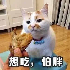 为了把食欲，转化成创造力，所以我在家里，自己炸鸡炸薯条..