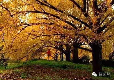 http://7xo6kd.com1.z0.glb.clouddn.com/upload-ueditor-image-20161023-1477210904424049164.jpg
