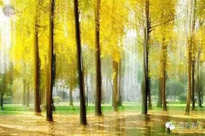 http://7xo6kd.com1.z0.glb.clouddn.com/upload-ueditor-image-20161023-1477210868754027477.jpg