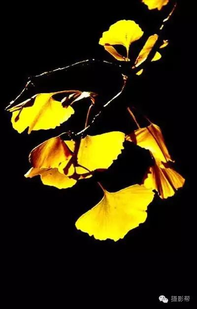 http://7xo6kd.com1.z0.glb.clouddn.com/upload-ueditor-image-20161023-1477210994410085611.jpg