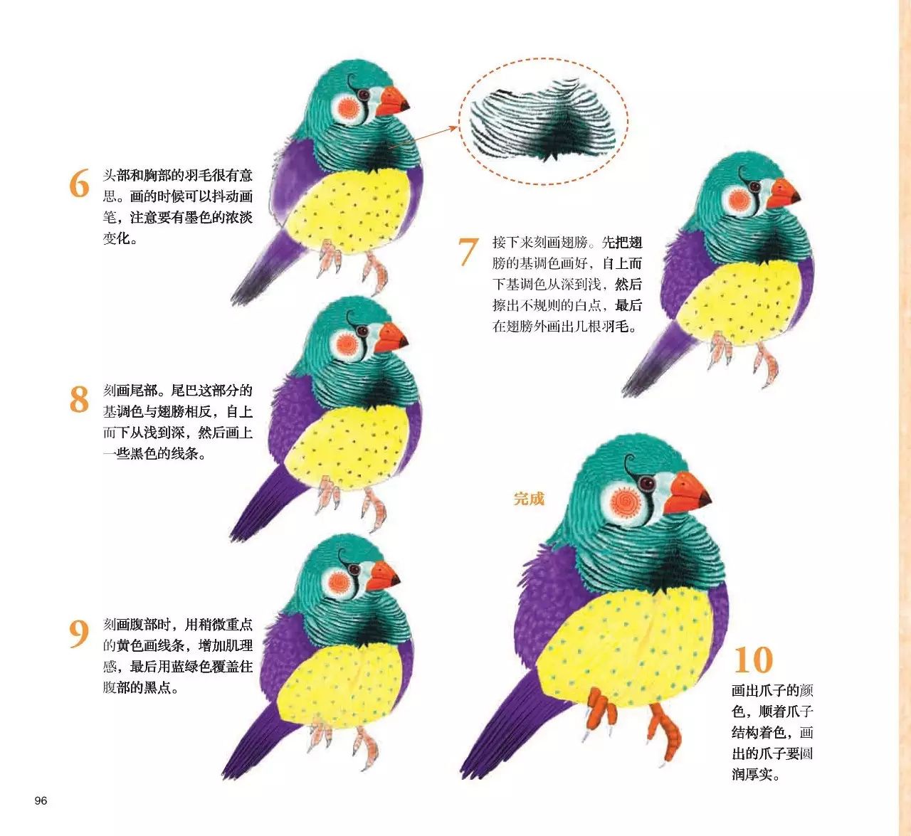 七彩文鸟插画教程——wow!不一样的创意动物绘