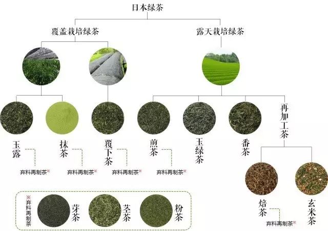 基本分类 在绿茶加工工艺方面,中国多采用炒制杀青,茶汤香味突出,茶