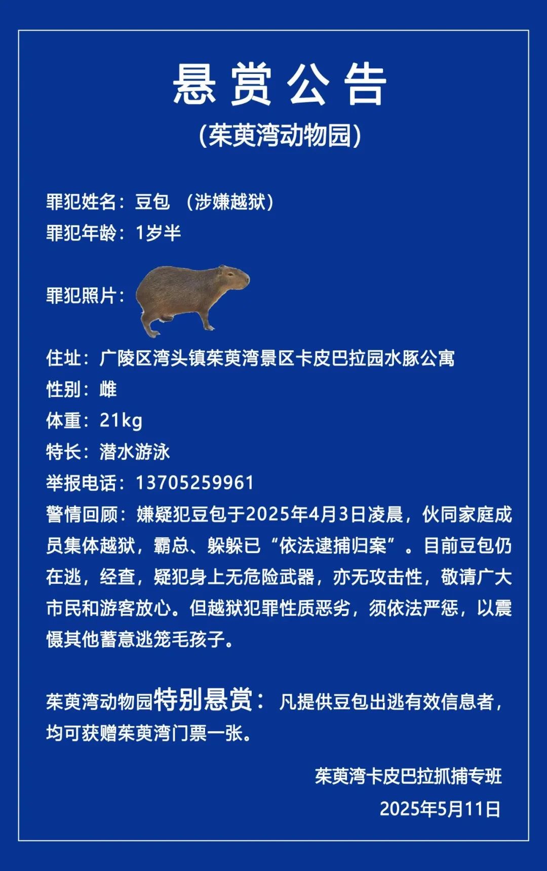 efcc2e90257a0f2db23573898f60d279.jpg