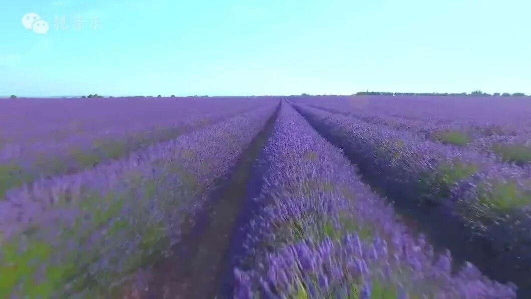 早安，晨曲！带你看最美的风景！