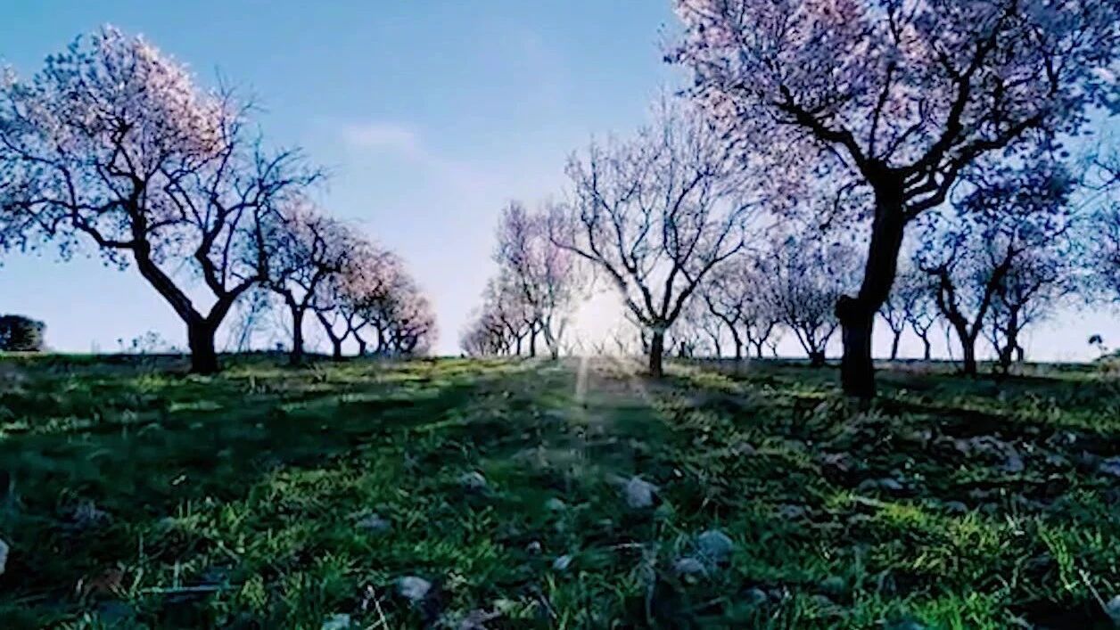 用音乐传递快乐，周四快乐！