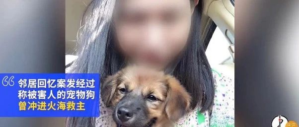 上海杀妻焚尸案爱犬为救主人葬身火海，邻居：其实它可以走的