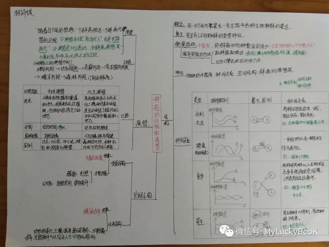 高中生物专题33 群落的结构和演替 高中生物总复习高考生物知识点归纳