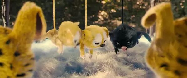 守尸狗的英文_魔幻电影英文影1只狗变成守护犬_一只狗守护女主的电影