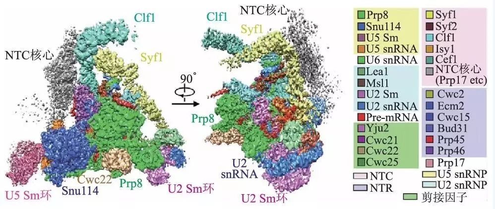 冷冻电镜在分子生物物理学中的技术革命