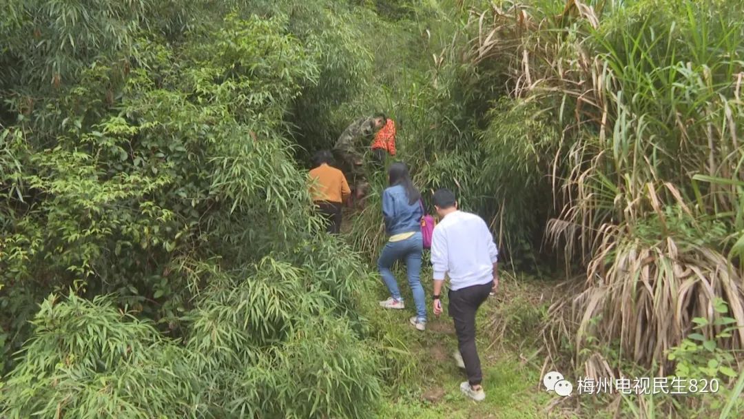 深山少年之玩转都市_深山_千锤百炼出深山