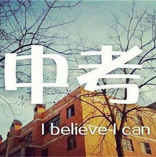 【湿地　豫见】奋战中考