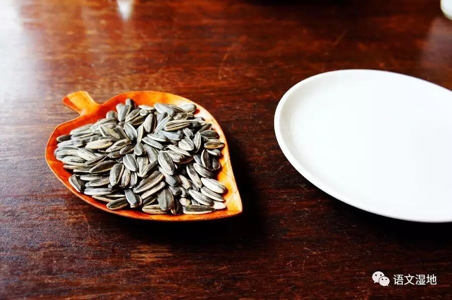 【教学札记】陈海波：今天吃着瓜子上语文
