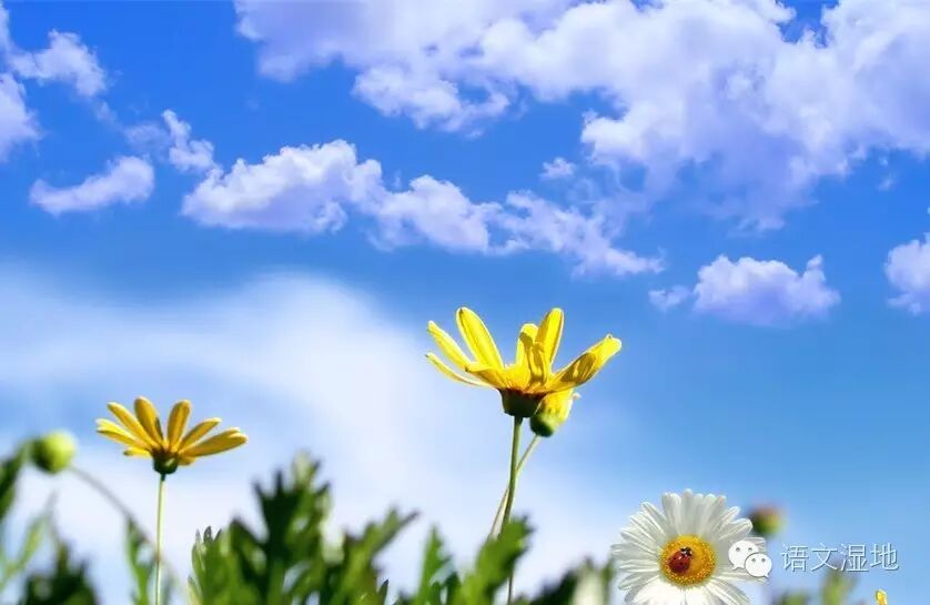 第1054季【湿地浙韵】我们一起看天吧！