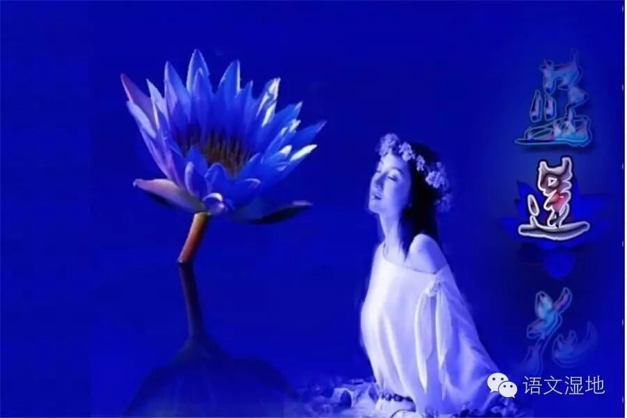 【湿地之声】浅唱低吟：“意”和“象”的美丽相遇