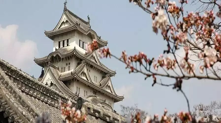 第1357季【湿地悦享】栾娟：带上萌娃，来一次说走就走的日本行