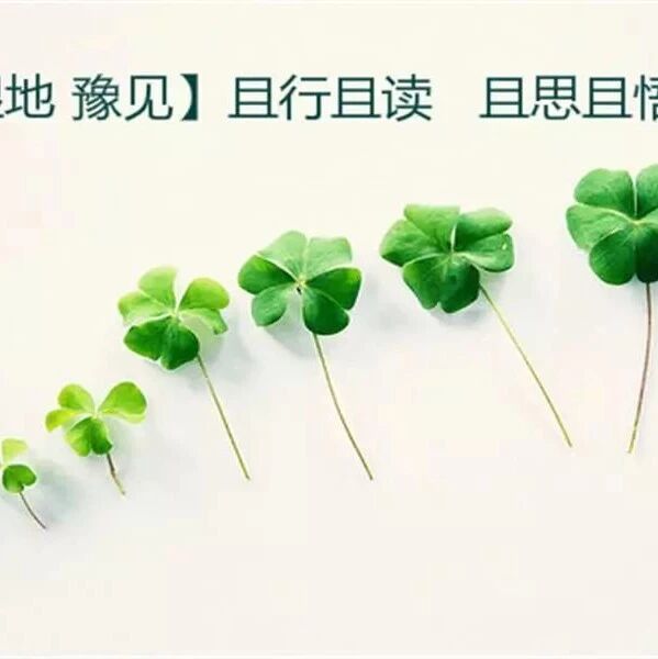 【湿地豫见】且行且读   且思且悟