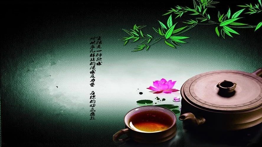 第 1588 季【湿地悦享】童亚舟：把日子过成诗