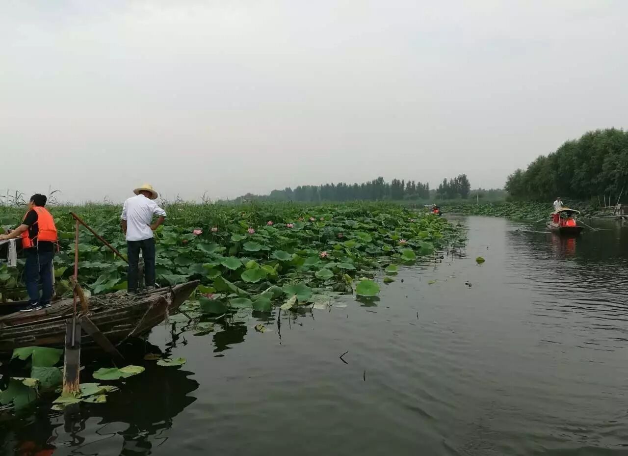 【年会随笔】清风徐来，水波粼粼