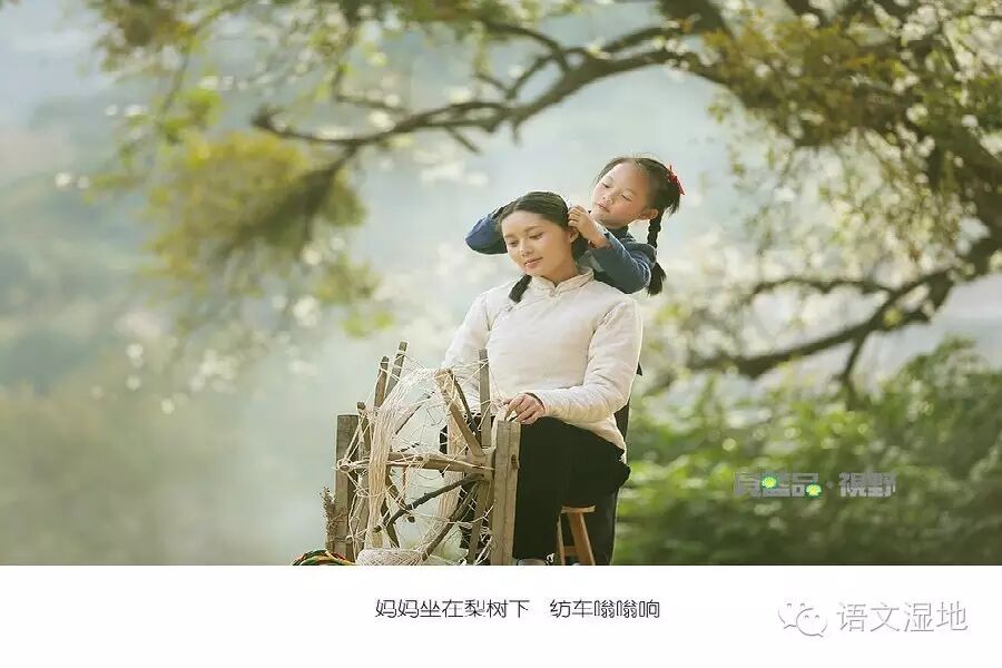 【湿地之声】浅唱低吟：点点梨花片片云