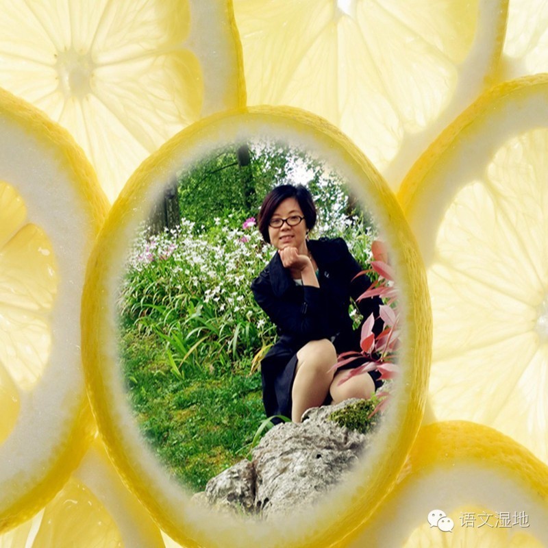 【玉蓉专栏】 议论文写作不会说理怎么办