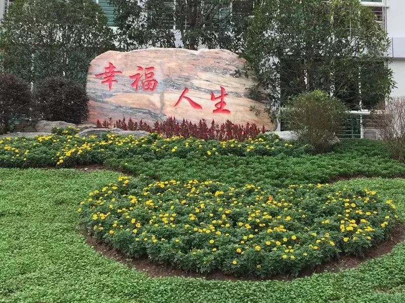 【谢华专栏】你说我听，故事暖人心
