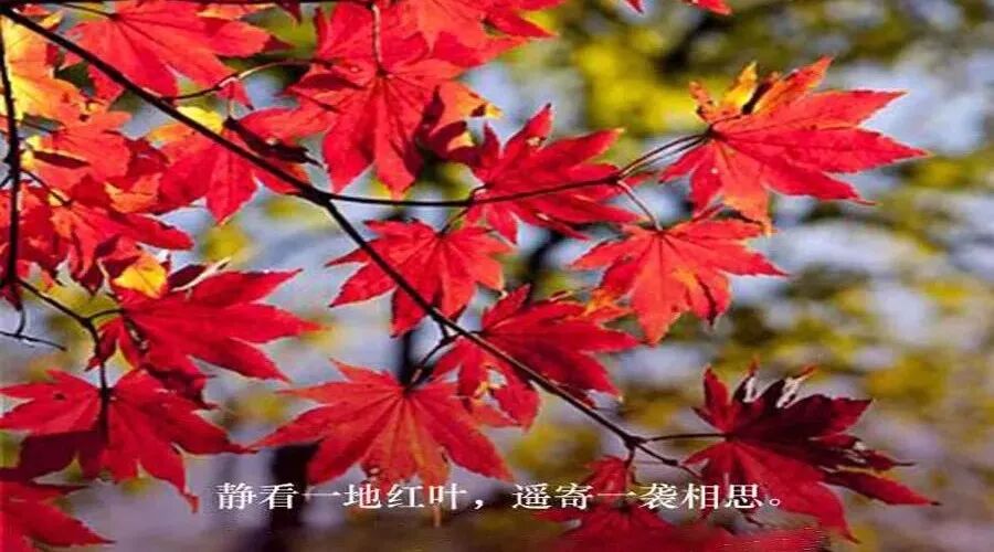 第1437季【湿地 豫见】孩子们，让我们一起来描摹人物