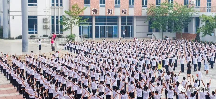 【湿地美文】你还记得那年的校园，那年的青春？