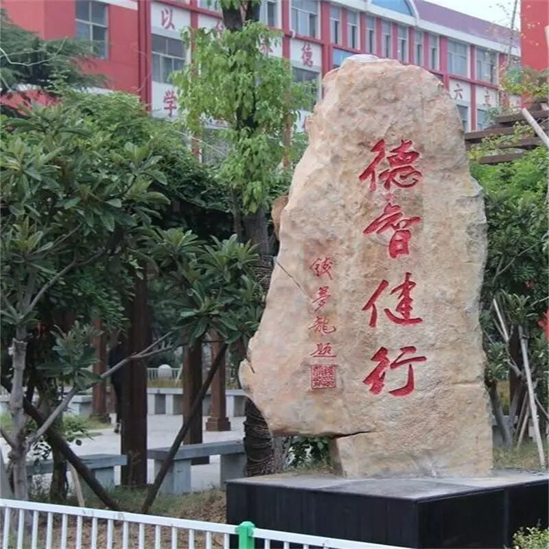 【湿地淮语】王忠辉：紫藤花下一群人
