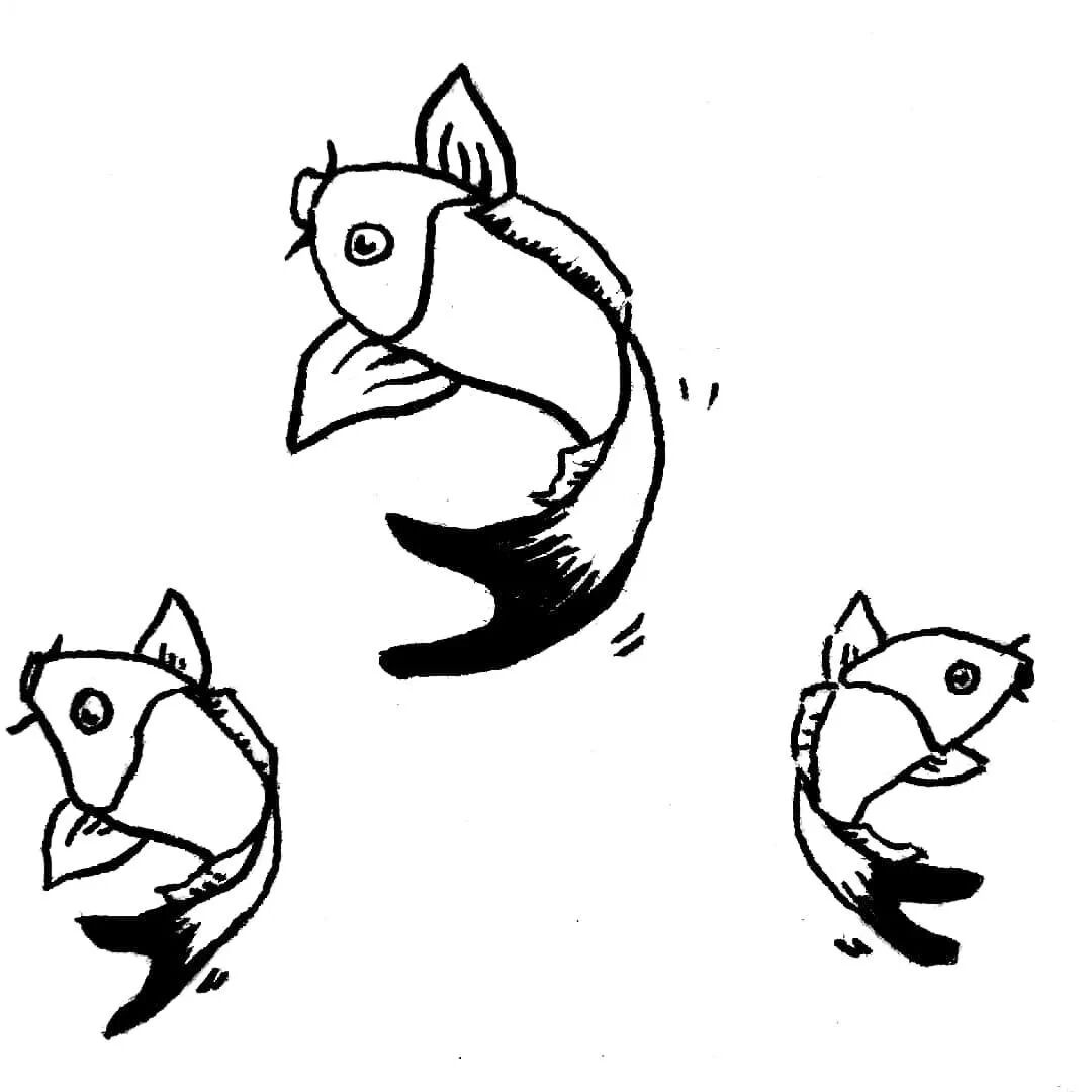 【永军专栏】探字寻根读诗文：寻（尋）鲜（鱻、鮮、尠、尟）