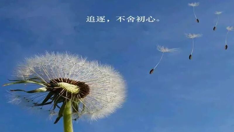 第 1632 季【湿地豫见】陈亚琼：小小卫生员