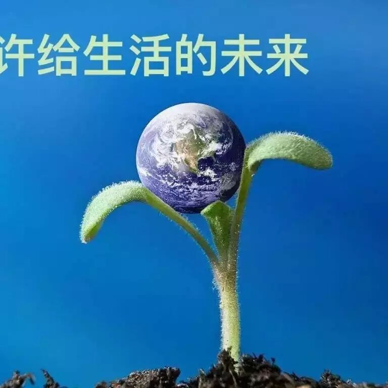 【湿地课堂】“美术+阅读”——《荷叶•母亲》实录片段
