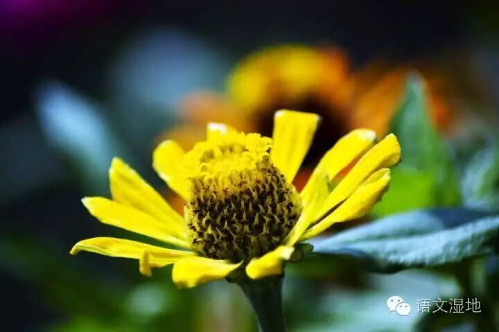 第1011季【青春课堂】那多算的一毛钱