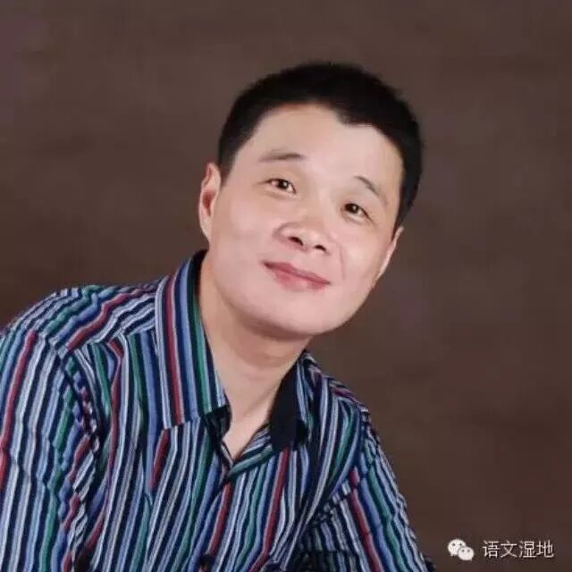 【培东专栏】苦楝树，我的警醒树