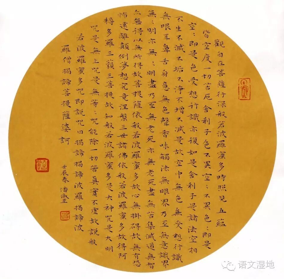 【湿地随笔】最美的遇见