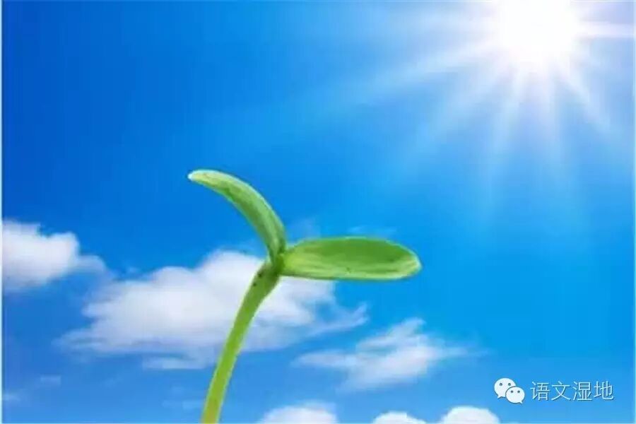 第1045季【湿地 豫见】悉心培育  笑看花开