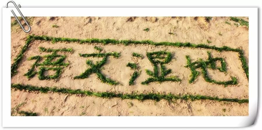 【湿地美文】我的成长加油站