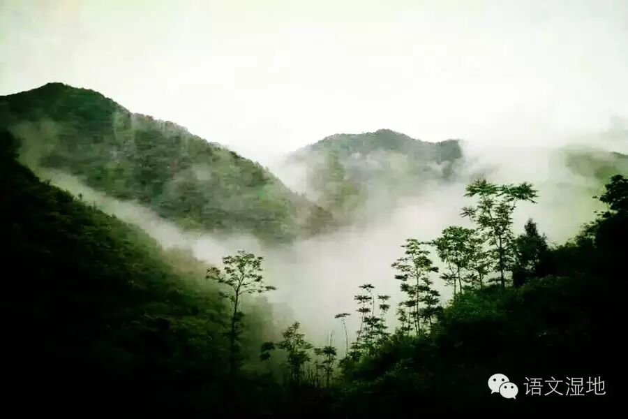 第1050季【湿地秦风】七上写作指导：体验生活，学会记事