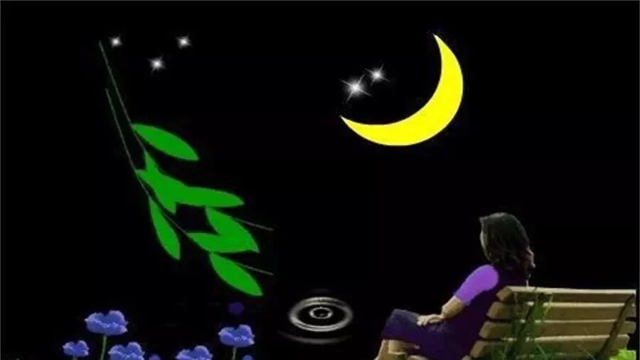 第1705季【湿地  豫见】仰望星空，凝想远方