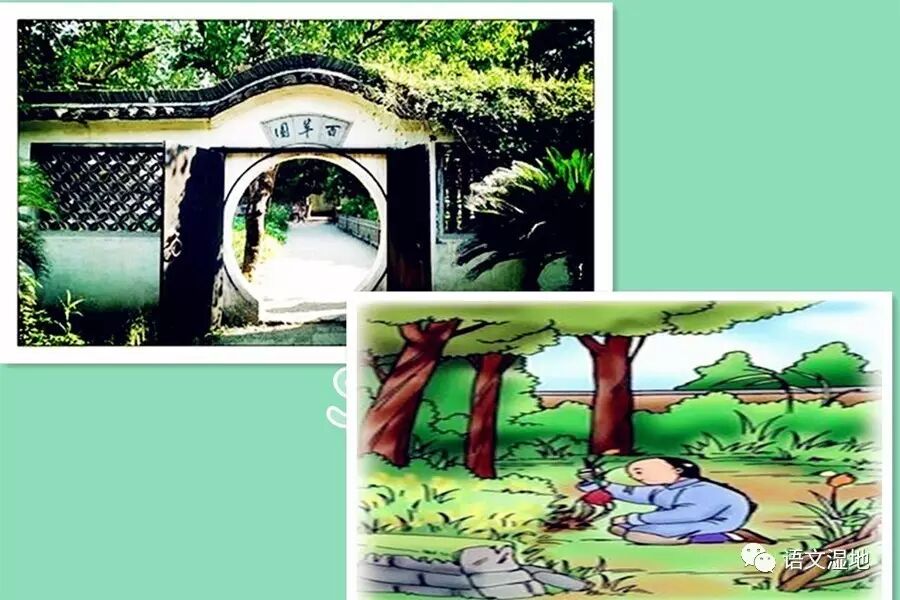 第1099季【湿地秦风】微写作教学策略之三：聚焦语用，习得语言
