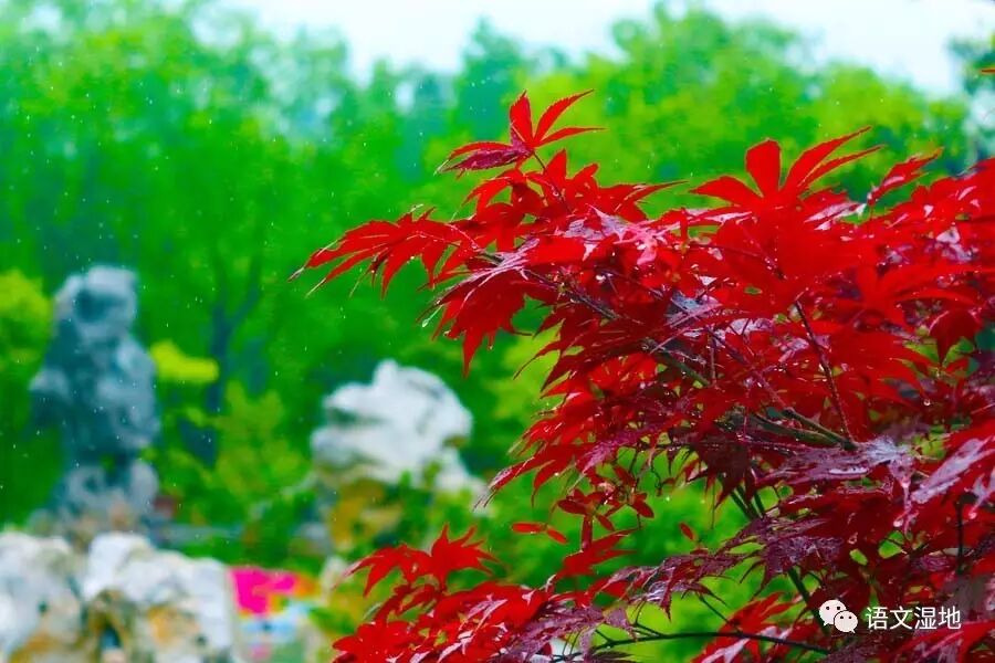 第1102季【青春课堂】文天祥：英雄出处是凡人