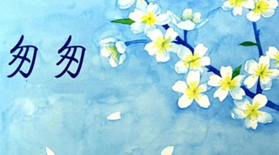 第1427季【湿地悦享】穆青茹：别让等待成为遗憾