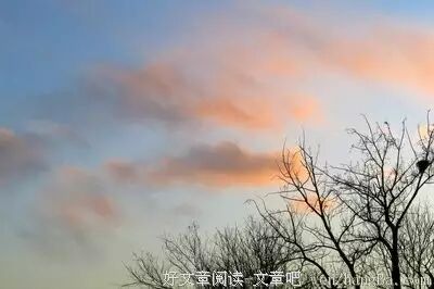 【湿地随笔】董月侠：我家的骡子