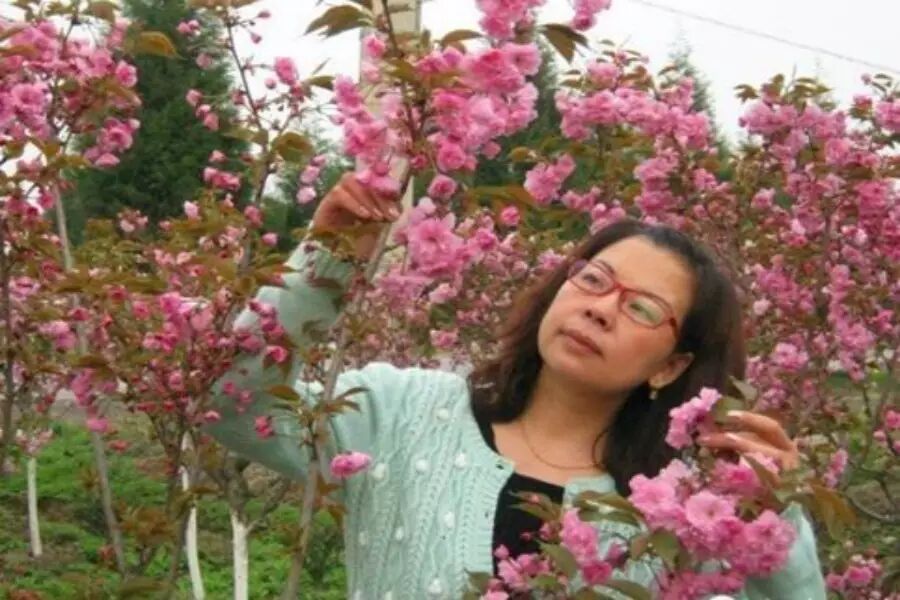 【定琴专栏】如何把话说到学生心坎里去