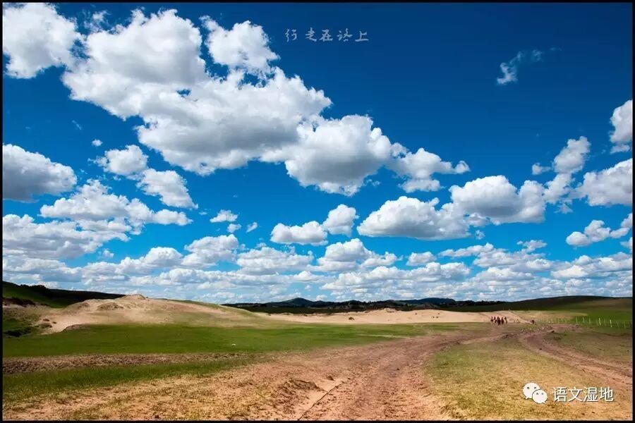第1164季 【湿地豫见】最好的时光在路上
